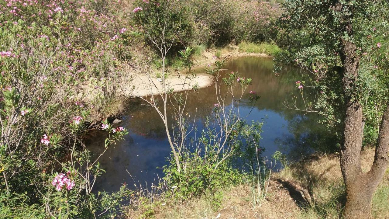 Agroturismo Flores Do Campo Villa Vila Verde de Ficalho Bagian luar foto